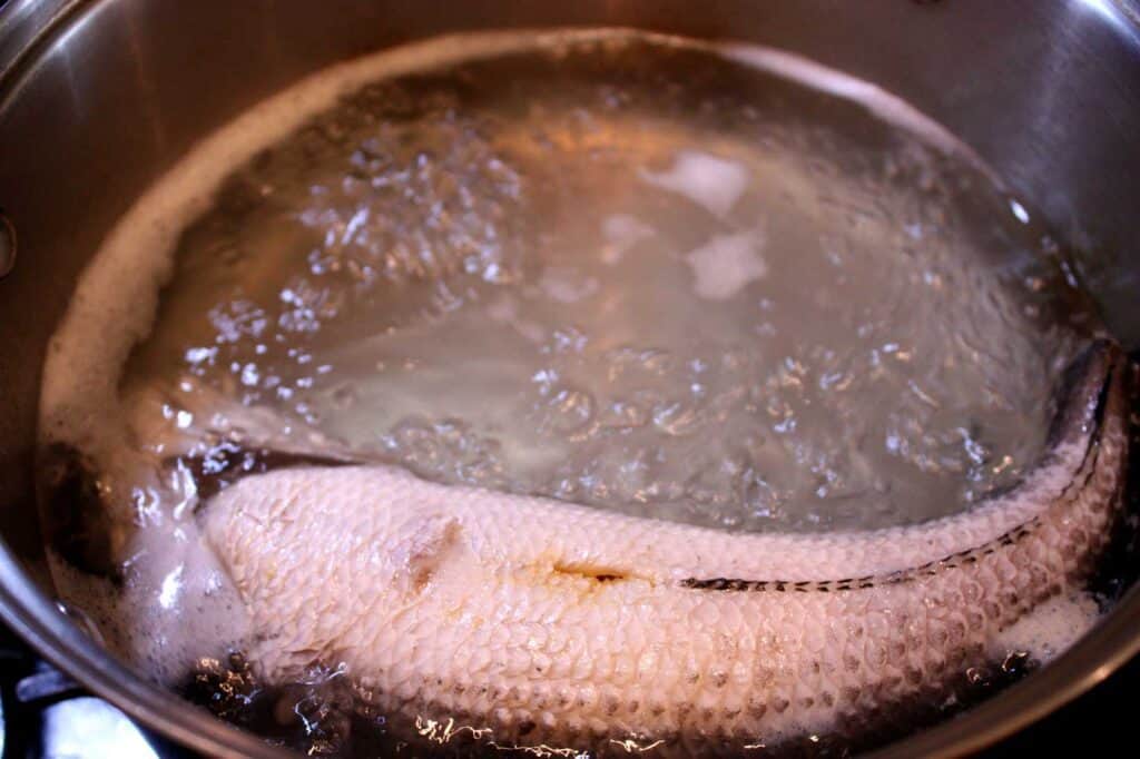 boil mudfish for nom banh chok